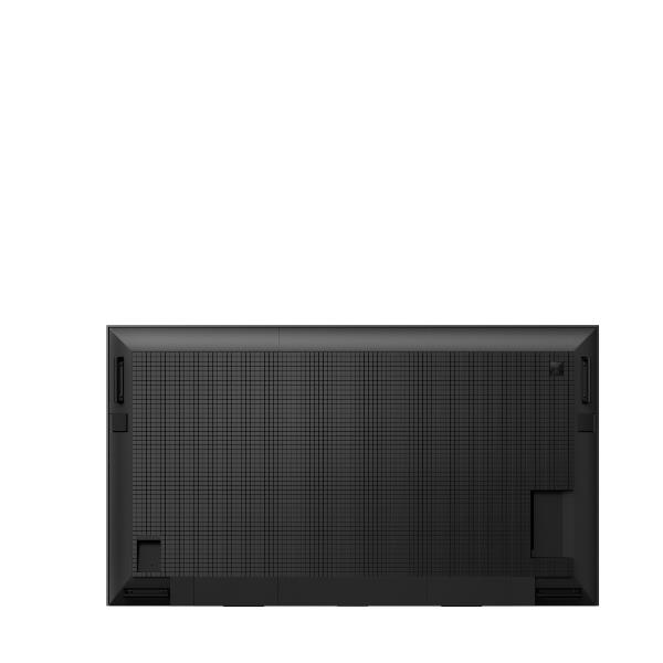 FW-98BZ30L 6
