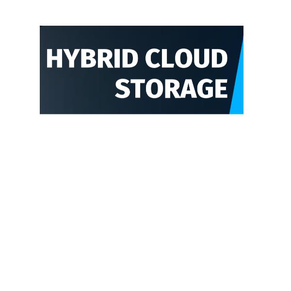 SERVIZI CLOUD REEVO HCS-REPLICA-1TB