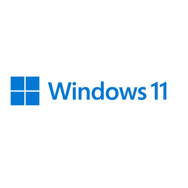 Windows 11 Home-OEM 2