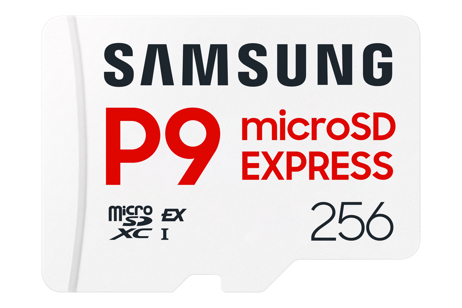 SAMSUNG MEMORIE P9 Express 256GB microSD