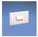 PANDUIT PLACCA PER 2 PRESE NETKEY BIANCA