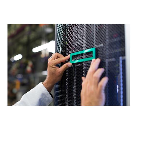 HPE SERVER Kit abilitazione HPE ProLiant ML110 Gen11 NS204i-u