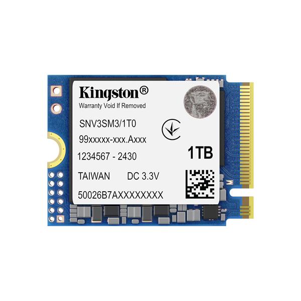 KINGSTON TECHNOLOGY SNV3SM3/1T0