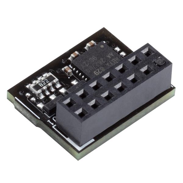TPM-SPI 2