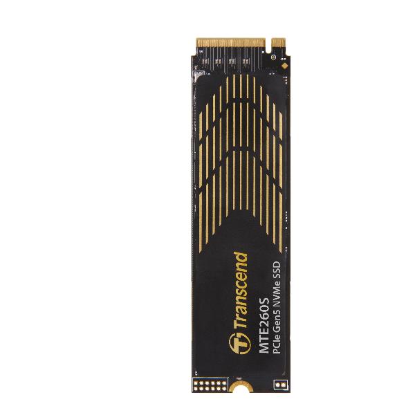 TRANSCEND TS1TMTE260S