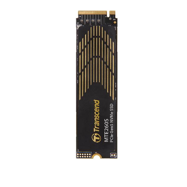 TRANSCEND TS2TMTE260S