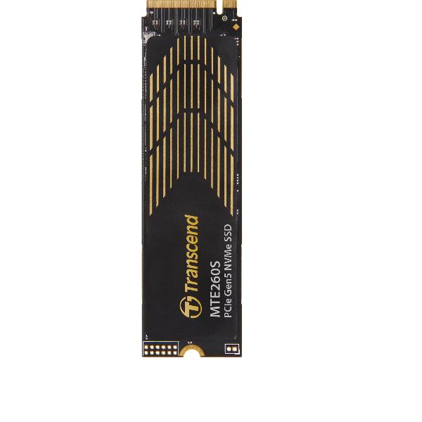 TRANSCEND TS4TMTE260S