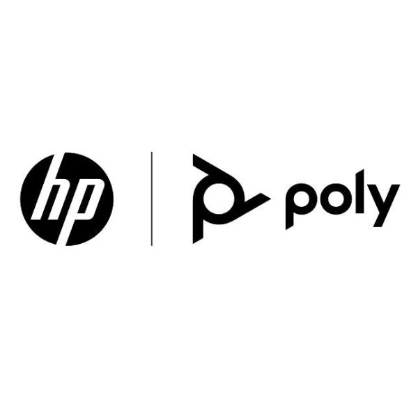 Poly Hp Poly+ 1 anno per Poly Studio V12 USB