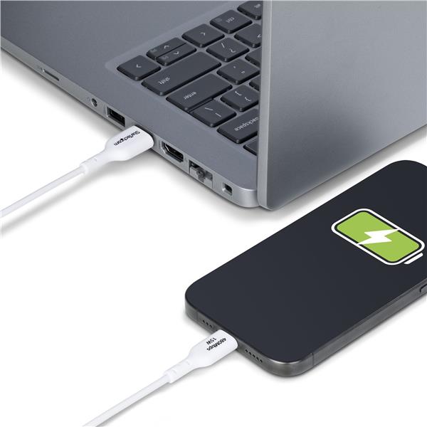 Cavo di ricarica da USB-A a USB-C da 1 m 3