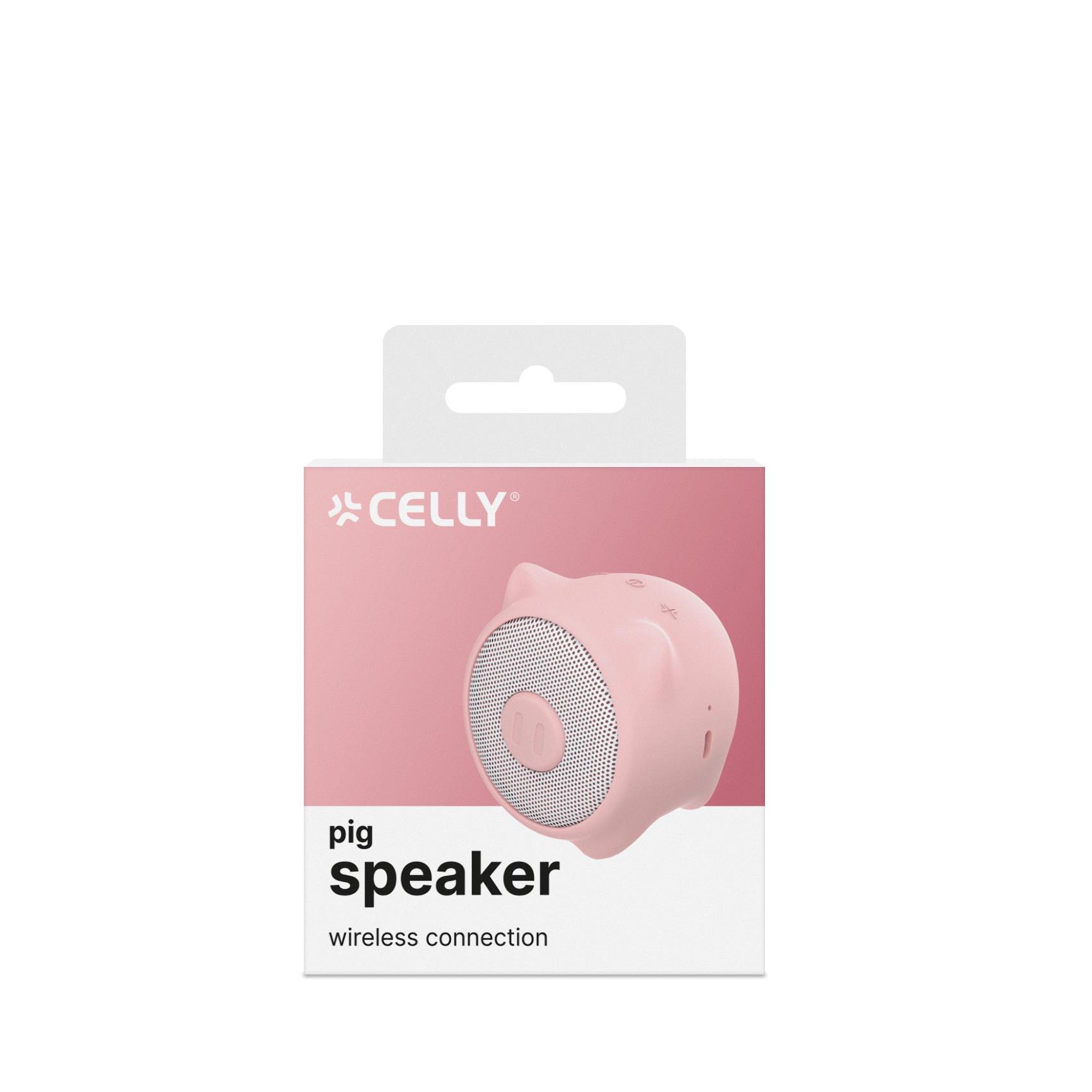 WSPIG - 3W Wireless Speaker Summer 5